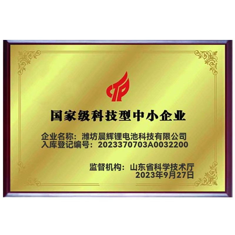 国家级科技型中小企业